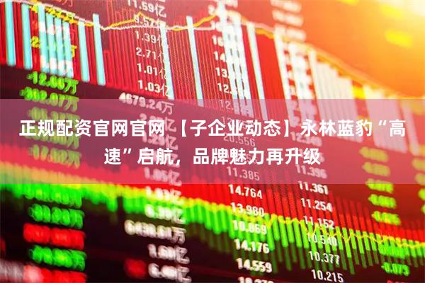 正规配资官网官网 【子企业动态】永林蓝豹“高速”启航，品牌魅力再升级