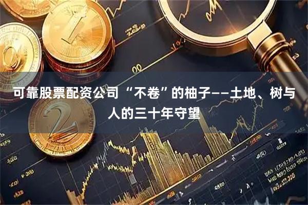 可靠股票配资公司 “不卷”的柚子——土地、树与人的三十年守望