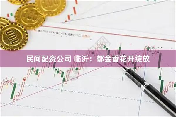民间配资公司 临沂：郁金香花开绽放