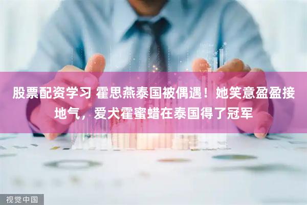 股票配资学习 霍思燕泰国被偶遇！她笑意盈盈接地气，爱犬霍蜜蜡在泰国得了冠军