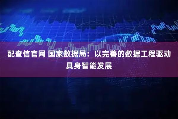 配查信官网 国家数据局:以完善的数据工程驱动具身智能发展